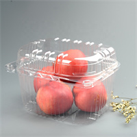 2L fruit clamshell  from DisposablesInc.com. The best import service in China. Import your disposable items and products from us.